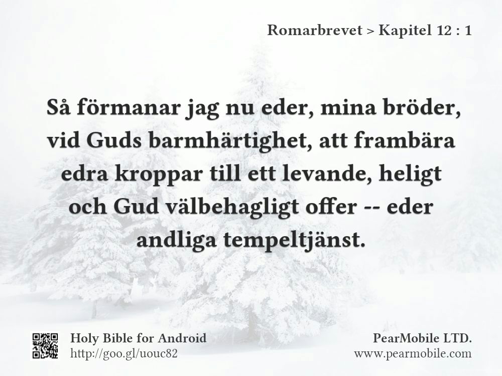 Romarbrevet, Kapitel 12:1
